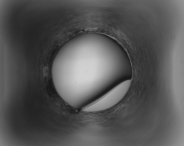 X0000088631445200705250848