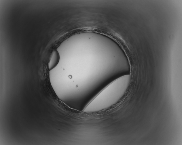 X0000088631448200705250848