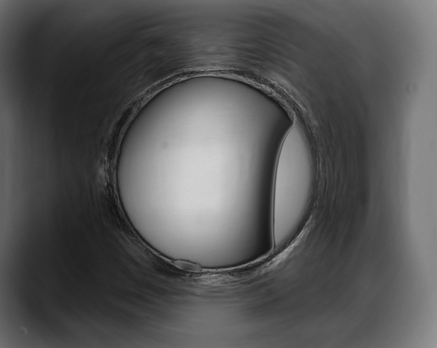 X0000088631449200705250848