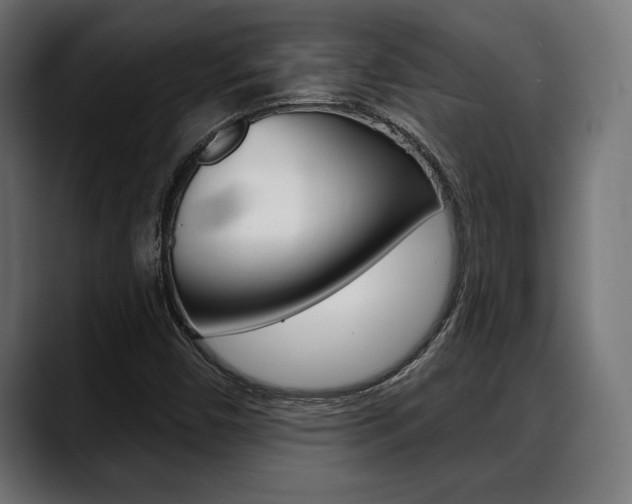 X0000088631450200705250848