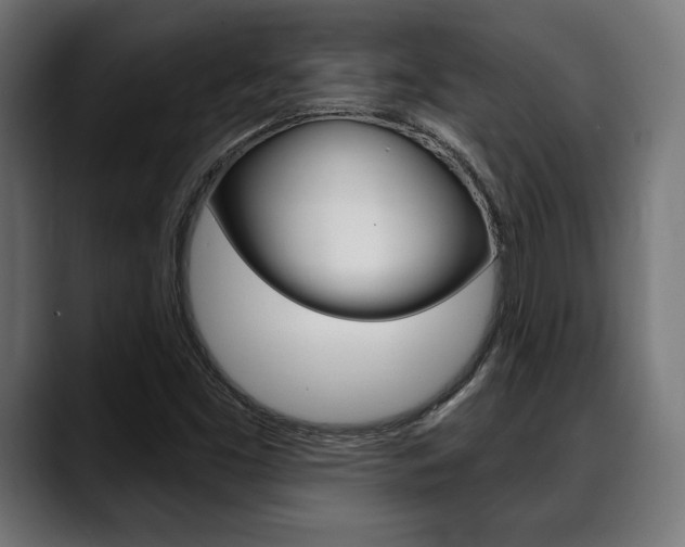 X0000088631453200705250848