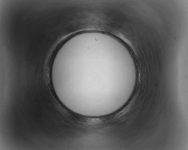 X0000088631454200705250848