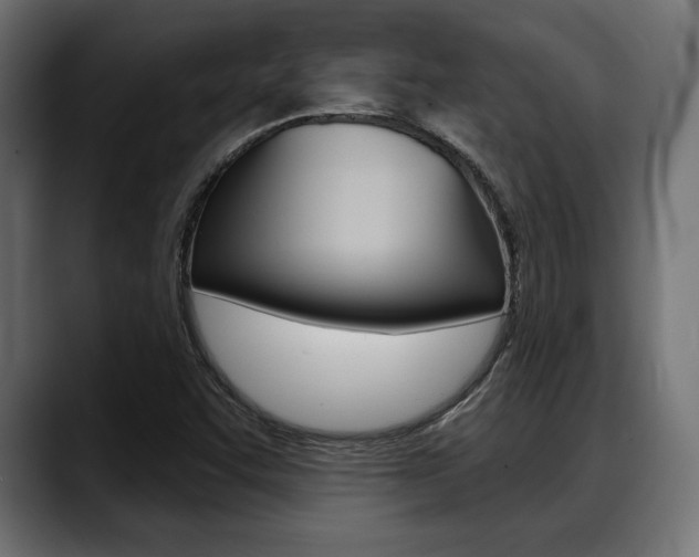 X0000088631455200705250848