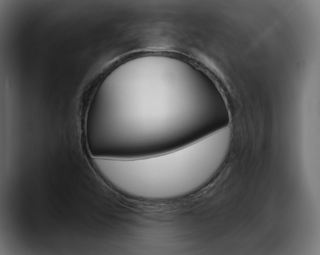 X0000088631456200705250848