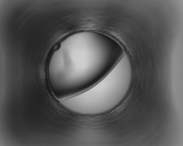 X0000088631458200705250848