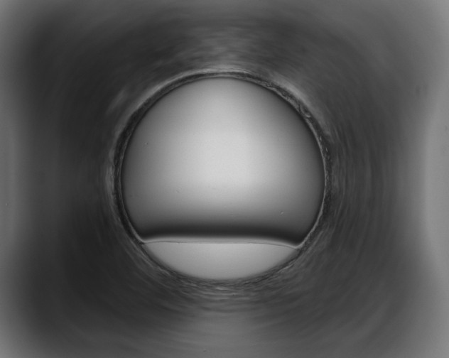 X0000088631460200705250848