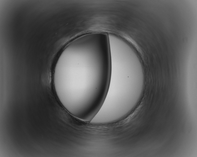 X0000088631461200705250848