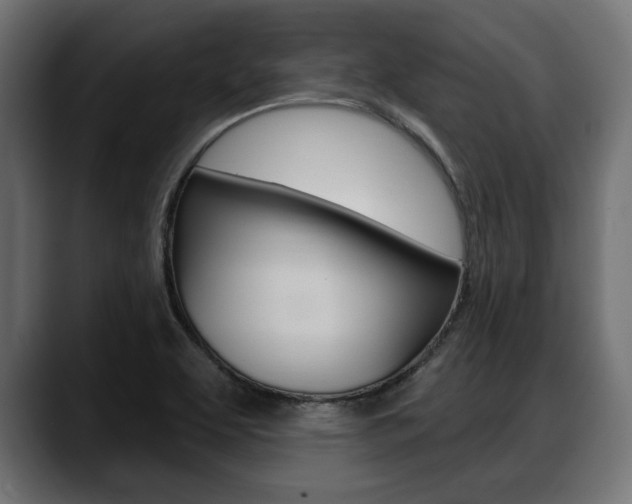 X0000088631463200705250848