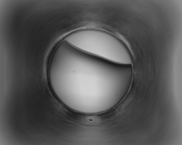 X0000088631464200705250848