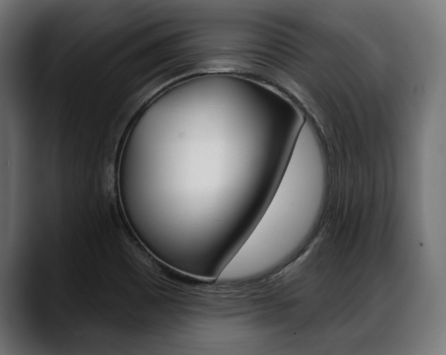 X0000088631465200705250848