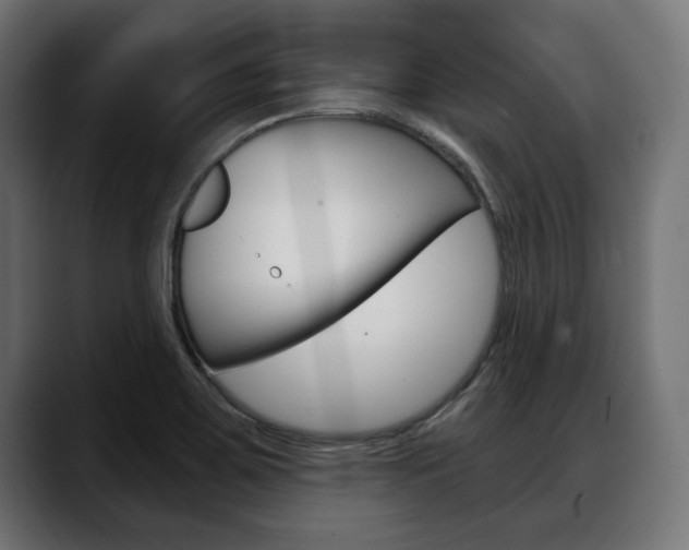 X0000088631467200705250848