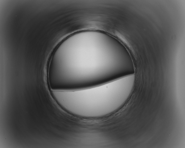 X0000088631468200705250848