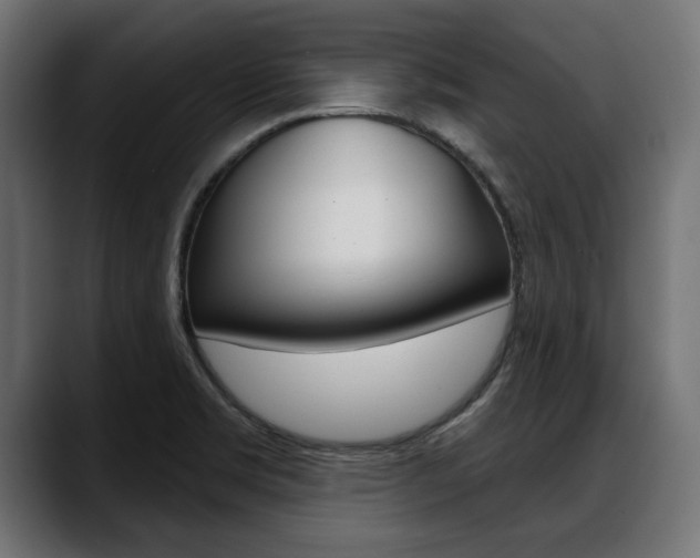 X0000088631469200705250848