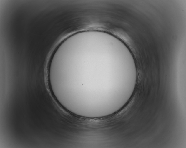 X0000088631470200705250848