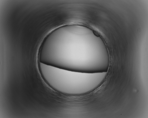 X0000088631471200705250848