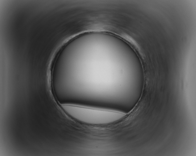 X0000088631472200705250848