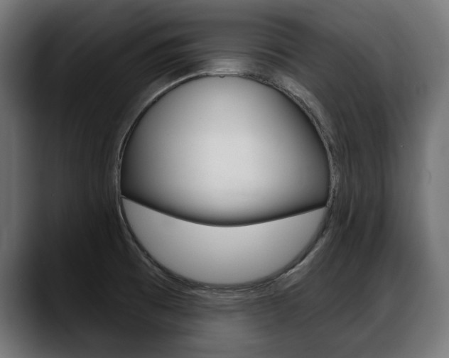 X0000088631473200705250848