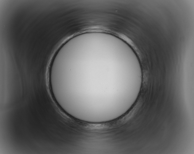 X0000088631474200705250848