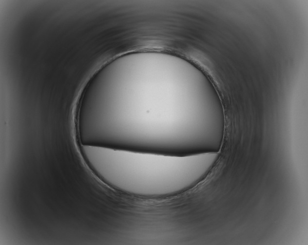 X0000088631475200705250848
