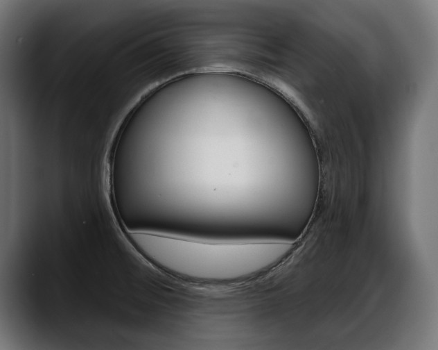 X0000088631476200705250848