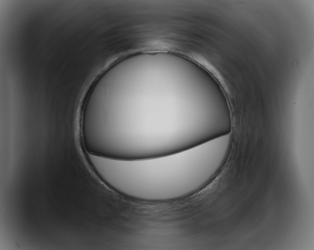 X0000088631477200705250848