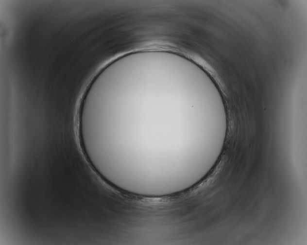 X0000088631478200705250848