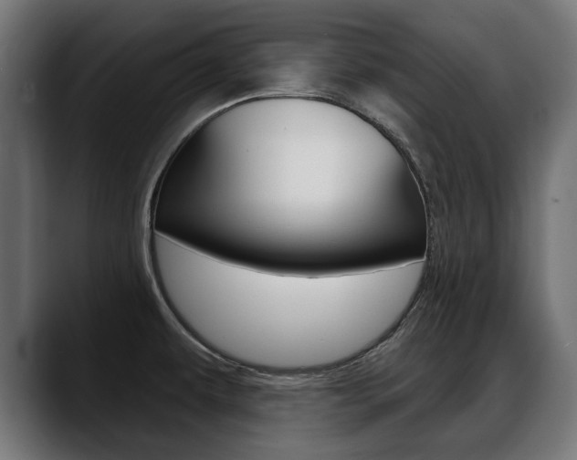 X0000088631479200705250848