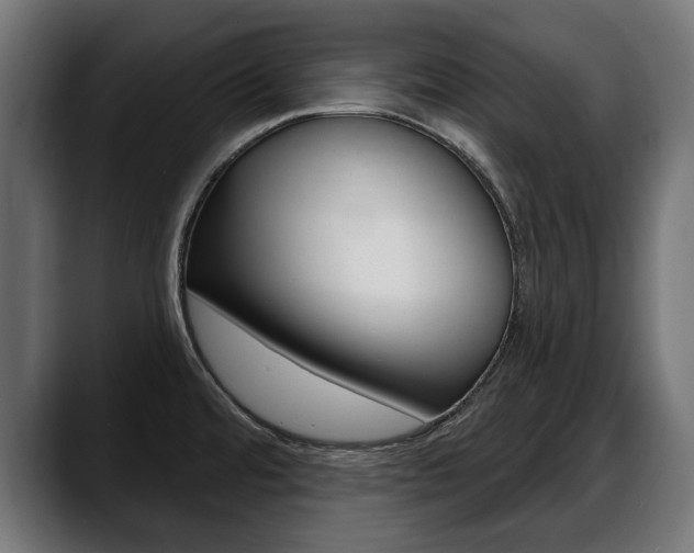 X0000088631480200705250848