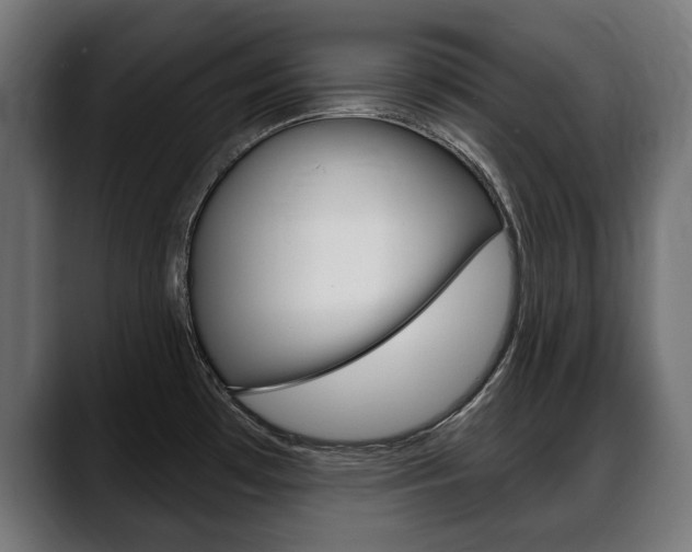 X0000088631481200705250848
