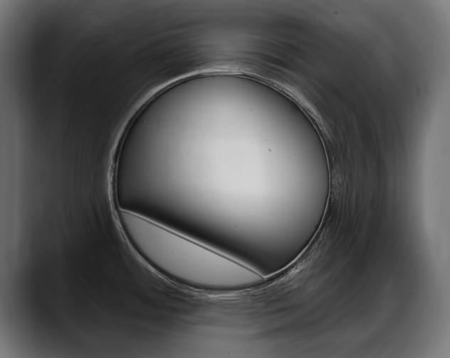 X0000088631484200705250848