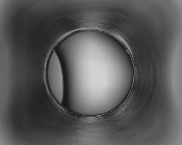 X0000088631485200705250848