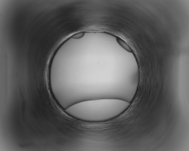 X0000088631486200705250848
