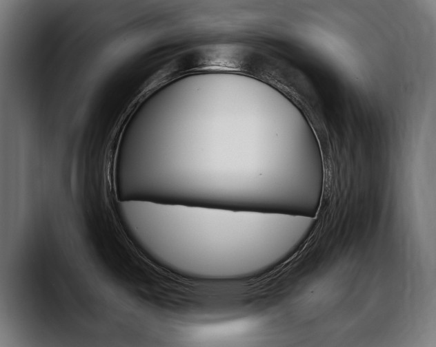 X0000088631487200705250848