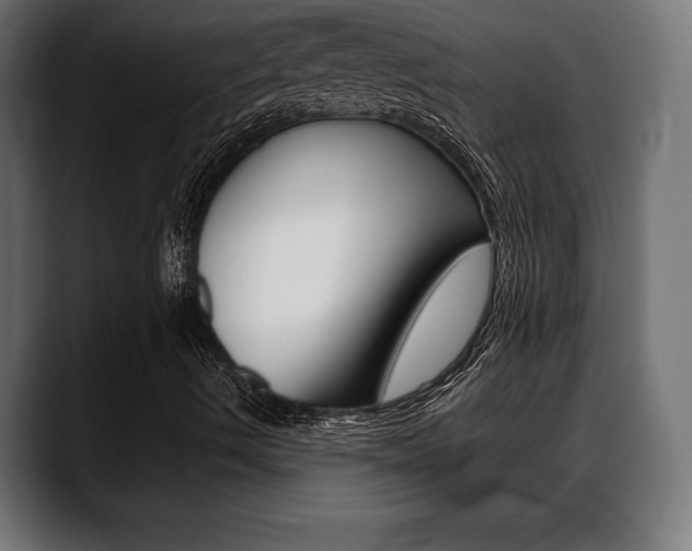 X0000088631490200705250847