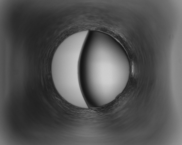 X0000088631492200705250847