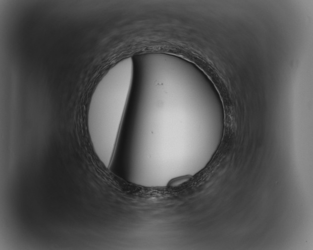 X0000088631493200705250847