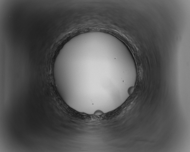 X0000088631494200705250847