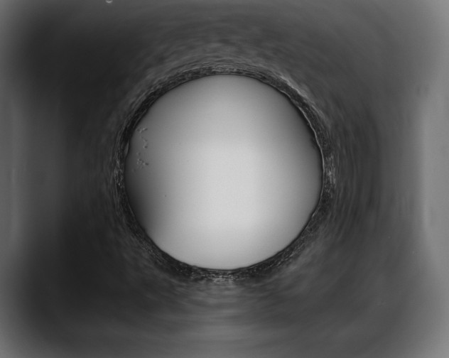X0000088631495200705250847