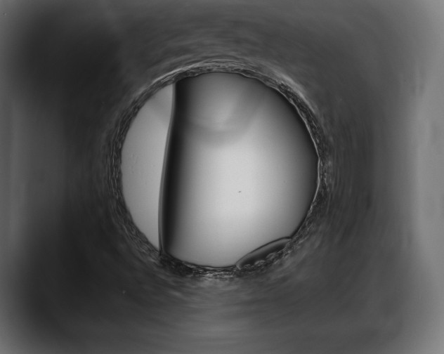 X0000088631496200705250847
