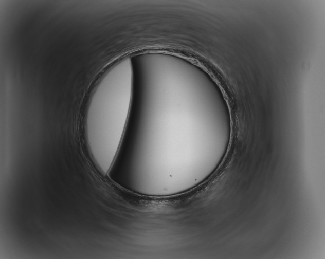 X0000088631497200705250847