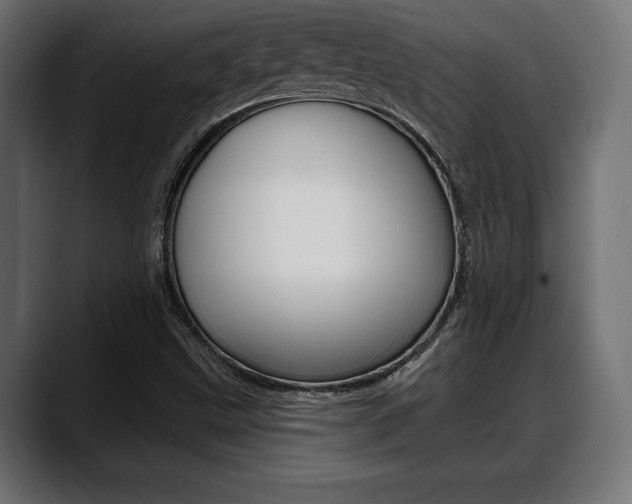 X0000088631499200705250847