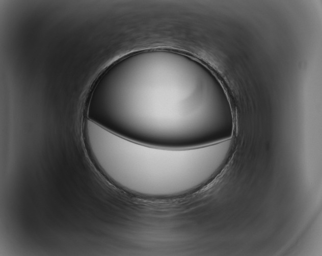 X0000088631500200705250847