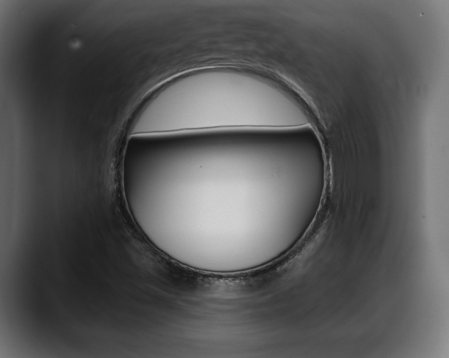 X0000088631501200705250847