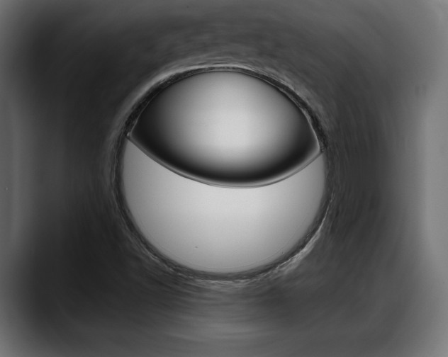X0000088631502200705250847