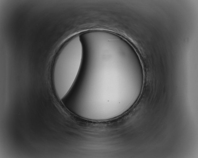 X0000088631503200705250847