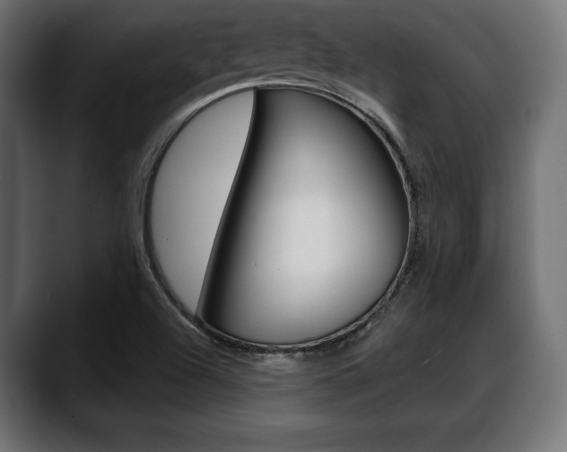 X0000088631504200705250847