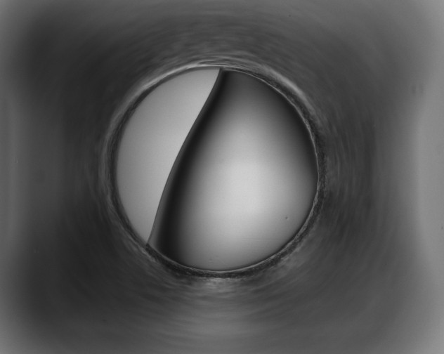 X0000088631506200705250847