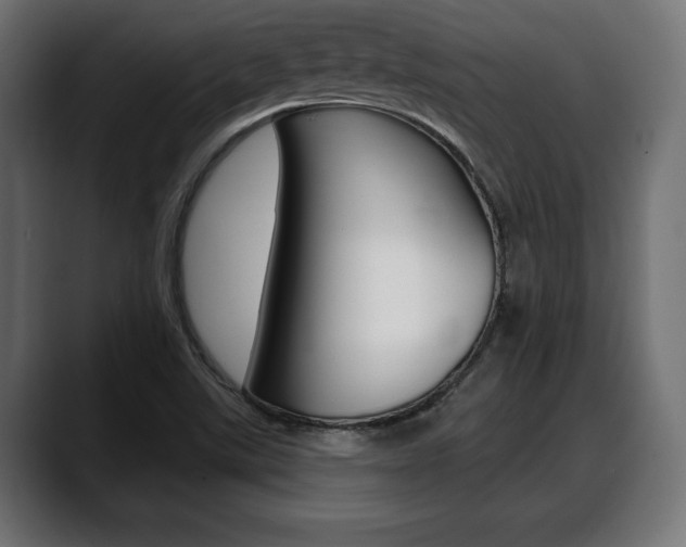 X0000088631507200705250847