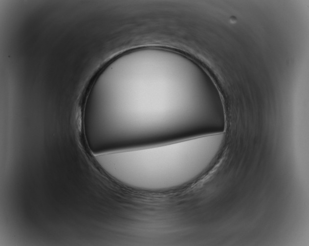 X0000088631509200705250847
