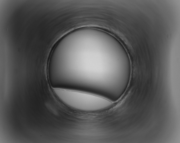 X0000088631513200705250847